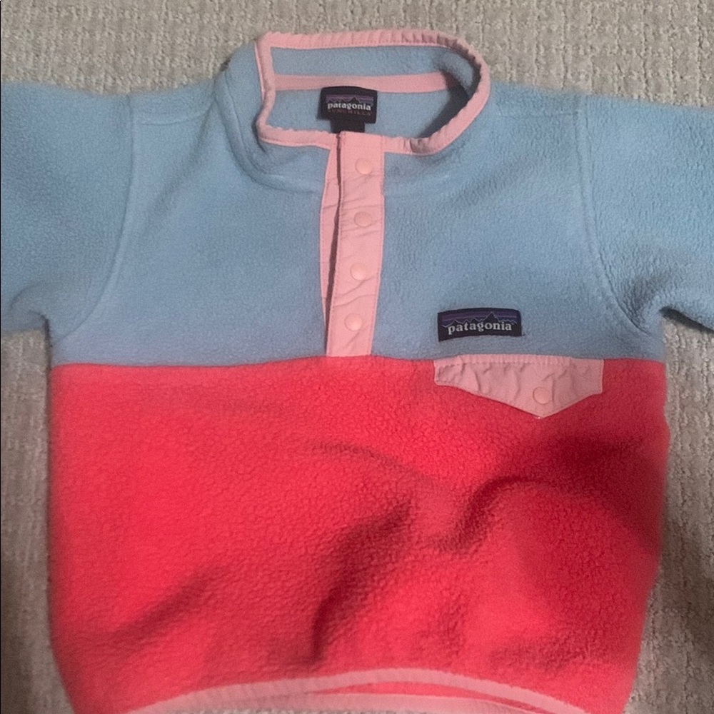 Patagonia Blue and Pink Fleece Hoodie